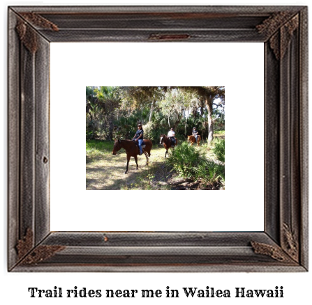 trail rides near me in Wailea, Hawaii